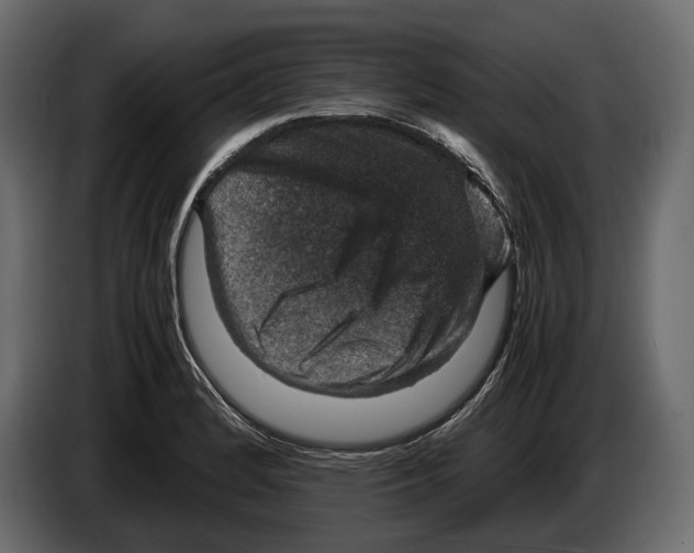 X0000082991184200703020838