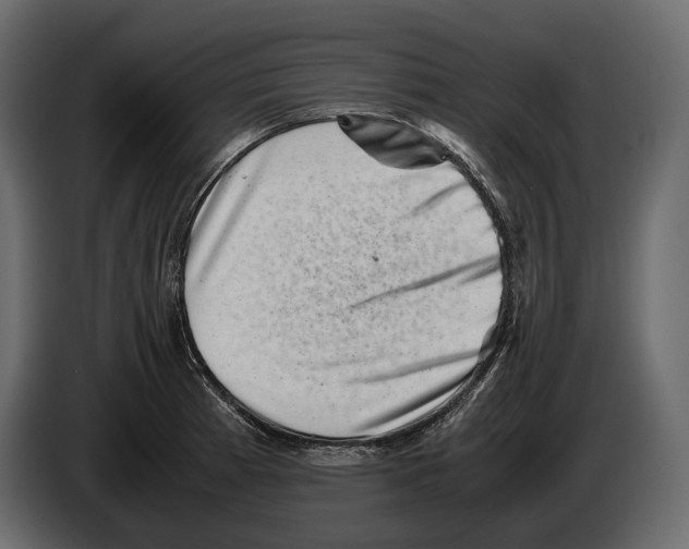 X0000082991185200703020838