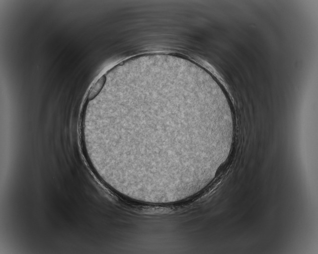 X0000082991187200703020838