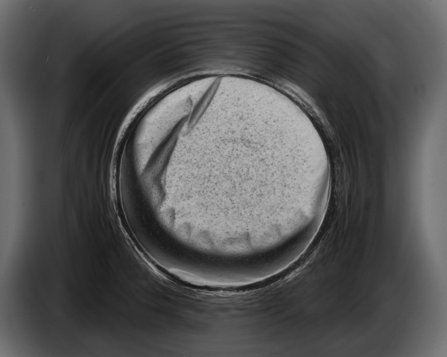 X0000082991188200703020838