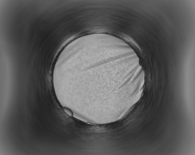 X0000082991190200703020838