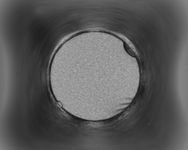 X0000082991191200703020838