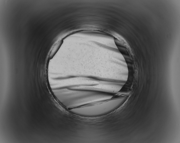 X0000082991192200703020838