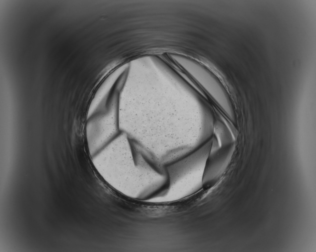 X0000082991193200703020838