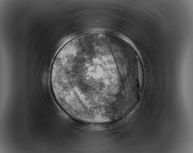 X0000082991194200703020838