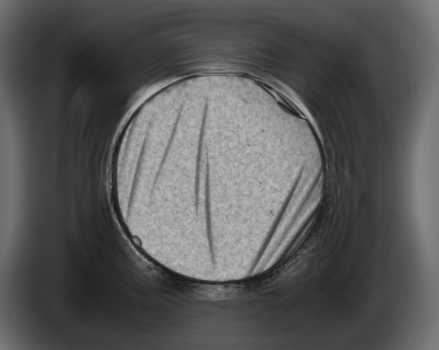 X0000082991195200703020838