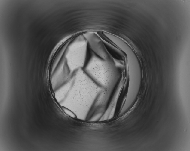 X0000082991196200703020838