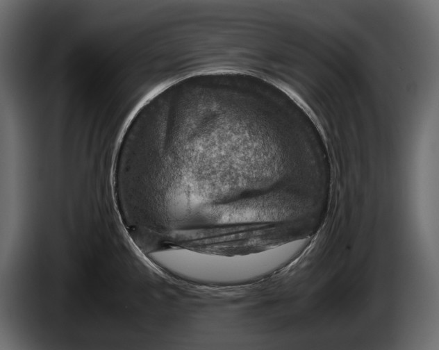 X0000082991197200703020838