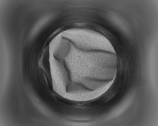 X0000082991198200703020838