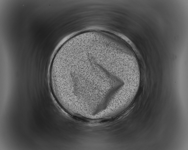 X0000082991199200703020838