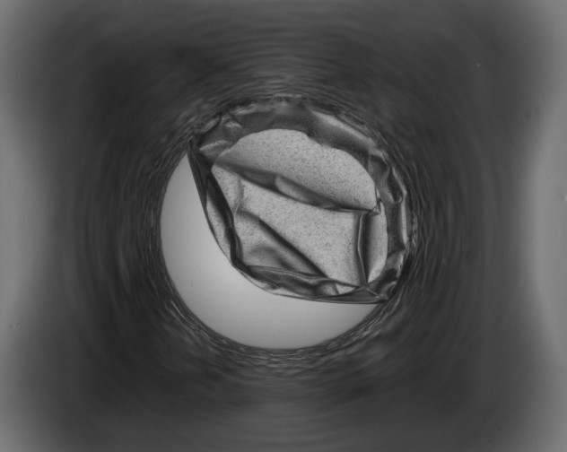 X0000082991202200703020837