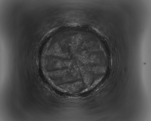 X0000082991206200703020837