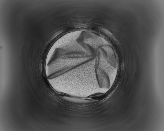 X0000082991209200703020837