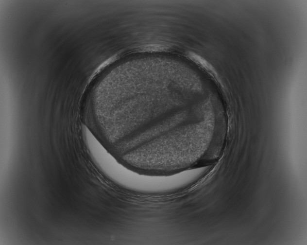 X0000082991210200703020837