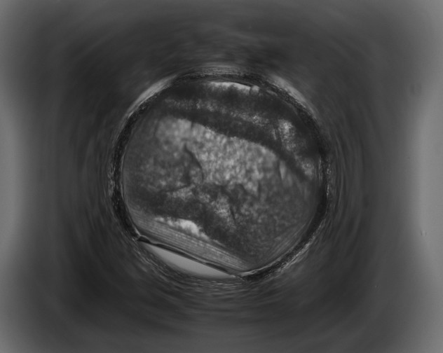 X0000082991213200703020837