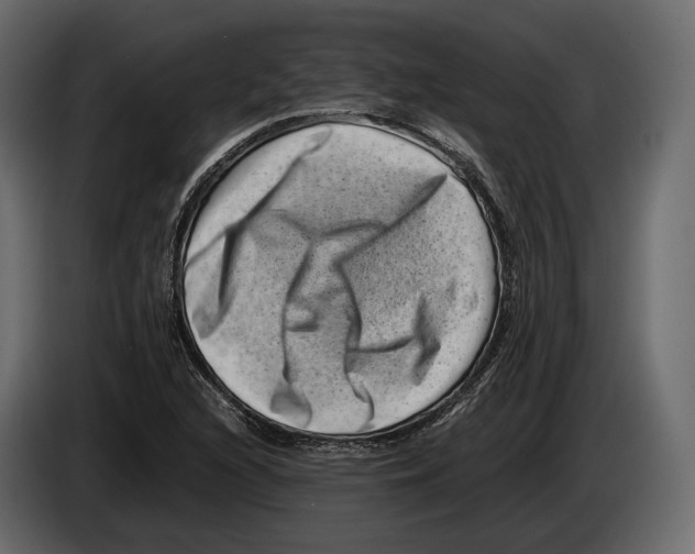 X0000082991216200703020837