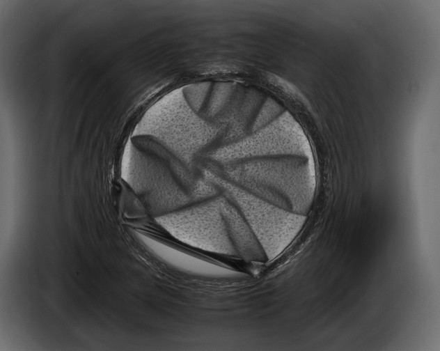 X0000082991217200703020837