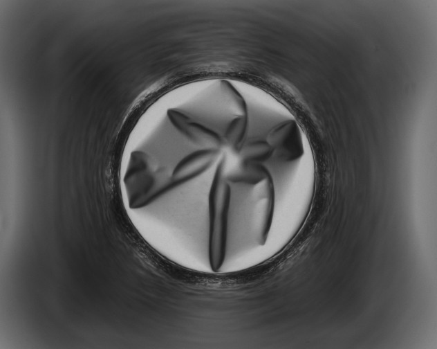 X0000082991218200703020838