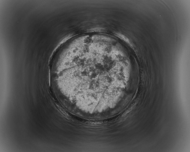 X0000082991219200703020838