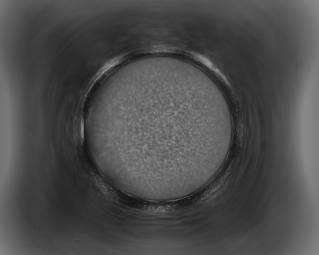 X0000082991221200703020838