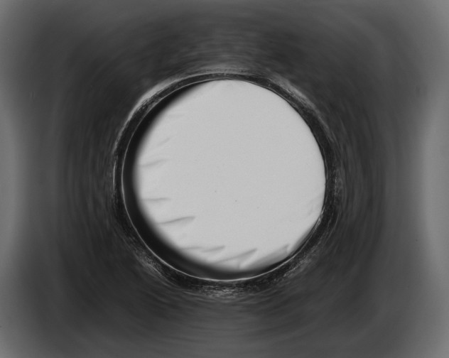 X0000082991222200703020838