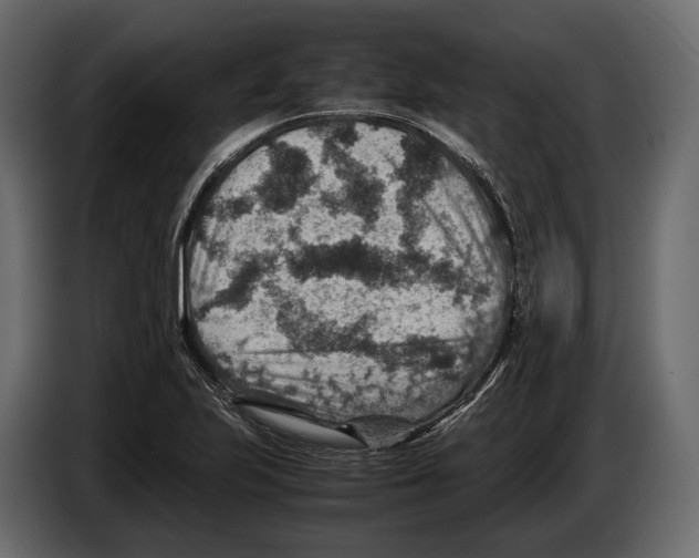 X0000082991223200703020838