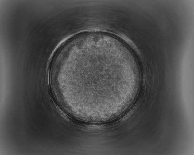 X0000082991224200703020838