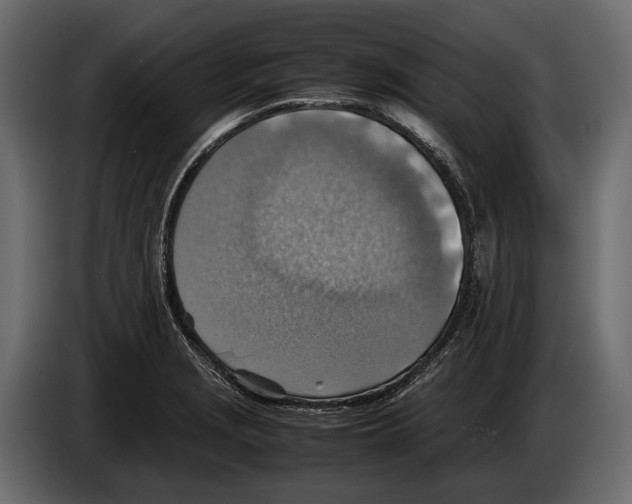 X0000082991229200703020838