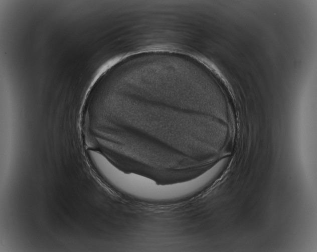 X0000082991230200703020838