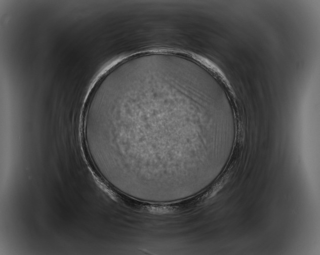 X0000082991231200703020838