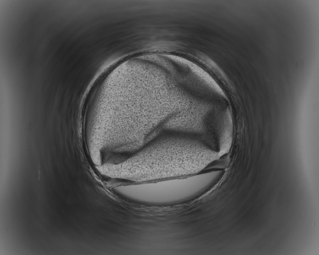 X0000082991232200703020838