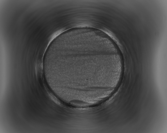 X0000082991234200703020838