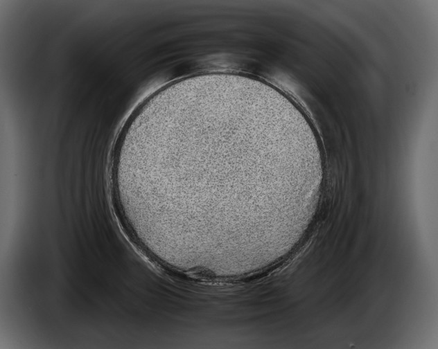 X0000082991235200703020838