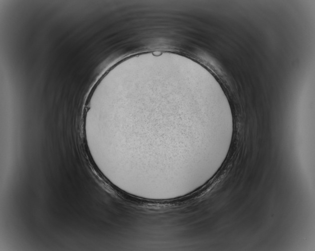 X0000082991236200703020838