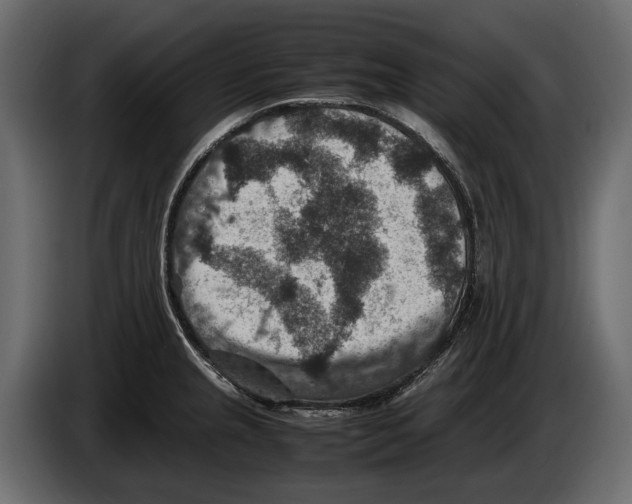 X0000082991237200703020838