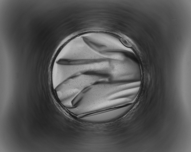 X0000082991238200703020838