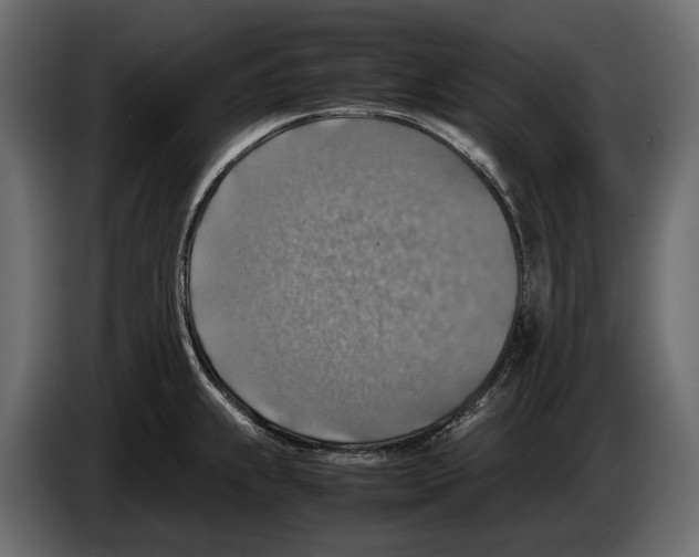 X0000082991239200703020838