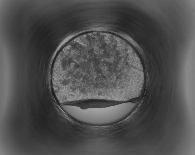 X0000082991240200703020838