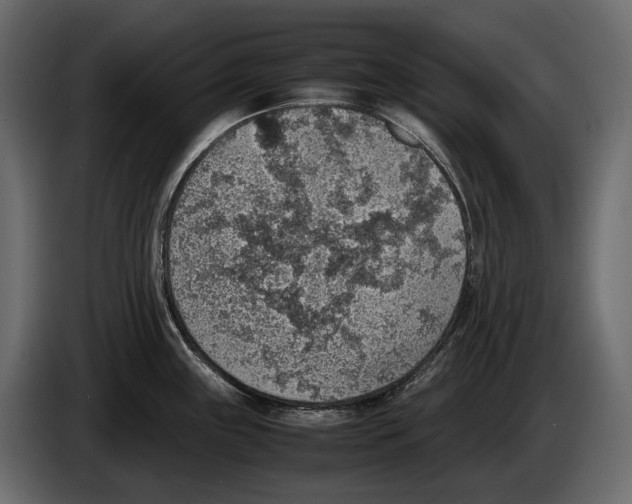 X0000082991243200703020838