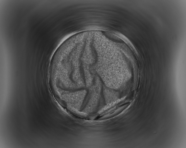 X0000082991244200703020838