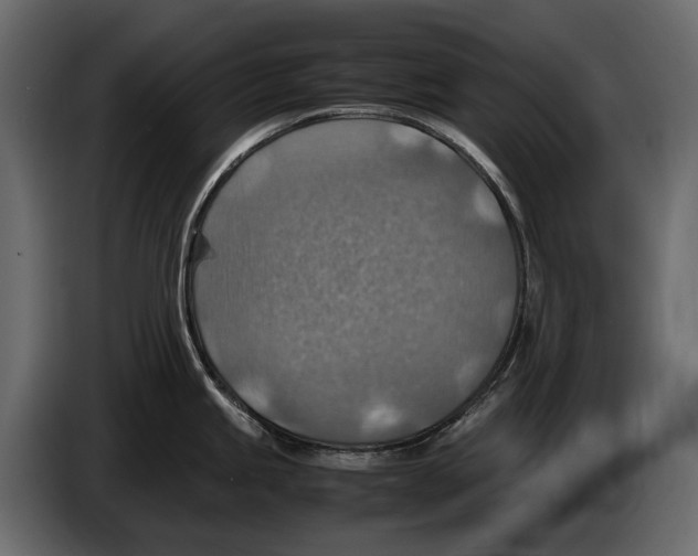 X0000082991245200703020838