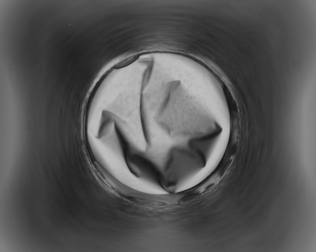 X0000082991246200703020838