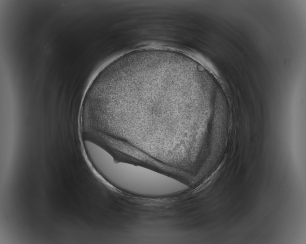 X0000082991247200703020838