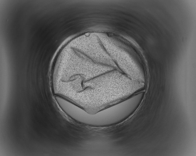 X0000082991248200703020838