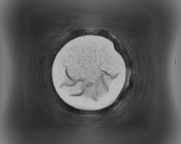 X0000082991249200703020837