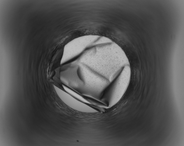 X0000082991250200703020837