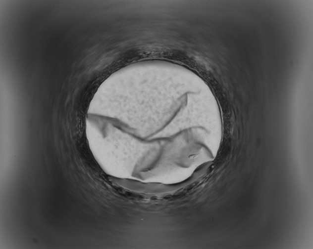 X0000082991253200703020837