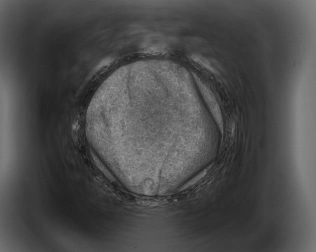 X0000082991254200703020837