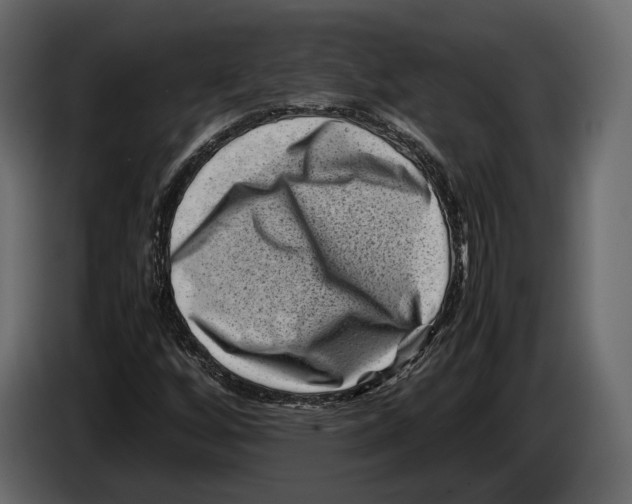 X0000082991256200703020837