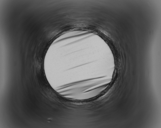 X0000082991257200703020837